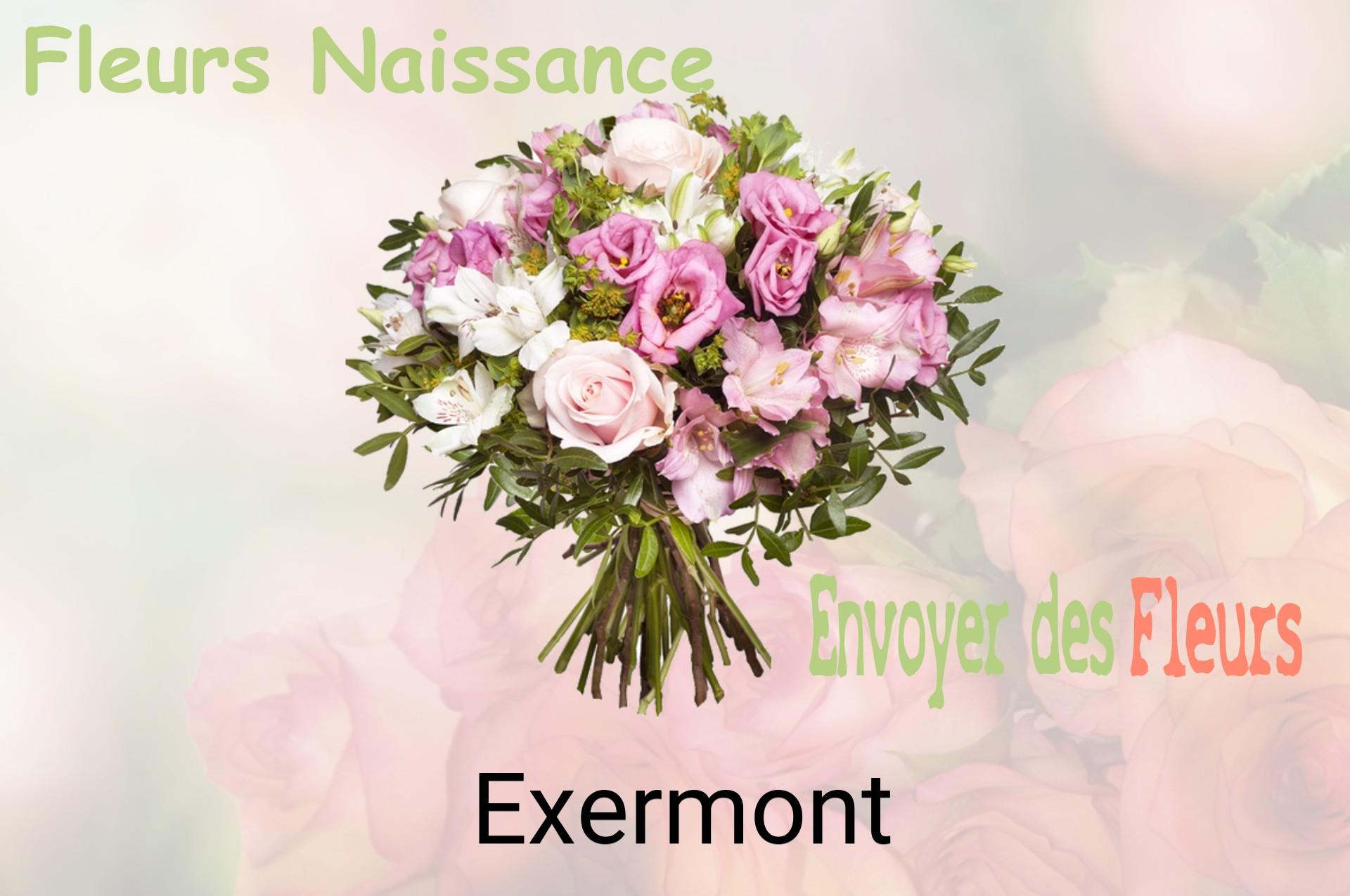 Bouquet de fleurs de naissance livré à Exermont